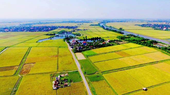 Dịch vụ tư vấn thủ tục gia hạn thời hạn sử dụng đất tại Bắc Giang