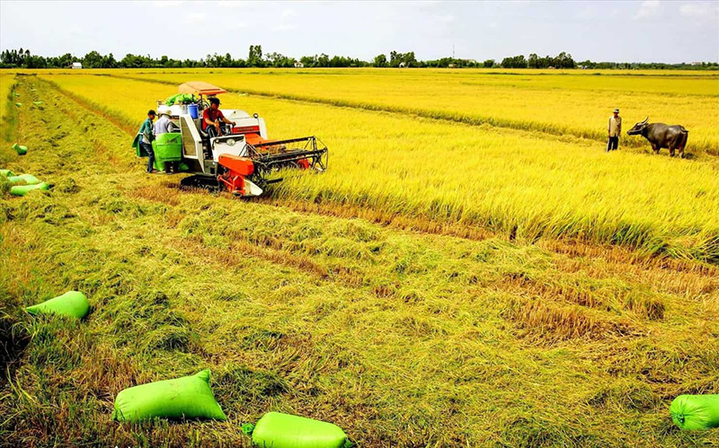 Dịch vụ tư vấn giá đền bù đất nông nghiệp tại Bắc Giang